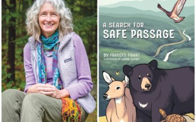 Local Book Recommendation: A Search for Safe Passage by Frances Figart