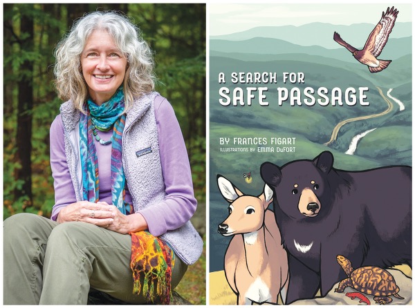 A Search for Safe Passage Townsend Book