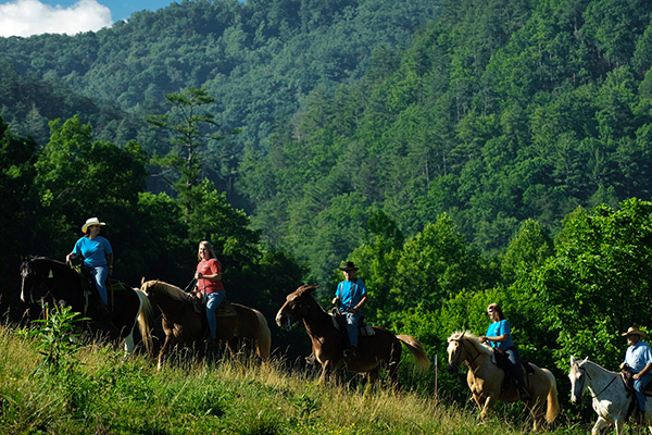 Horseback Riding