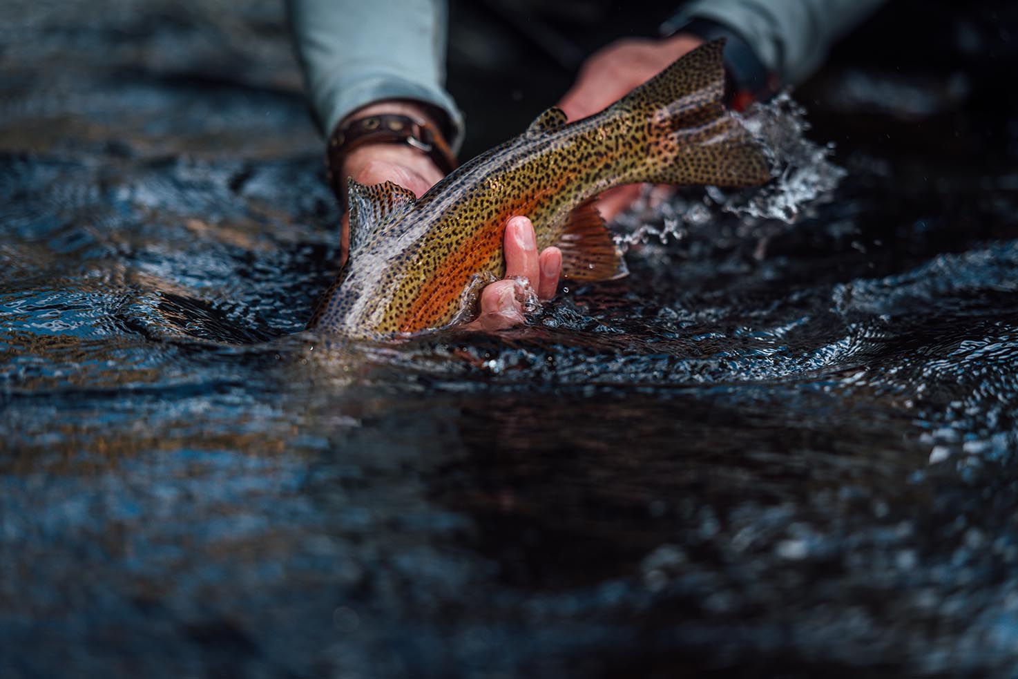 Fishing in Townsend, Fly Fishing, Little River