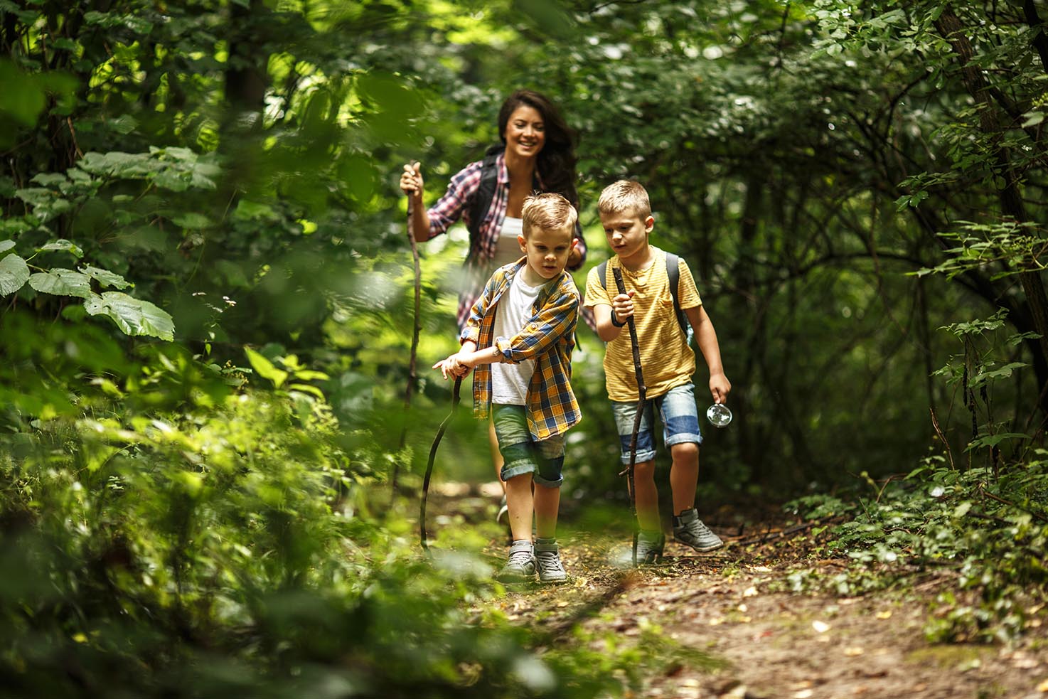 Hiking Townsend TN