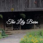 Lily-Barn-150x150.jpg